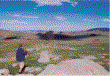 On the Nelenia property - Mick Kihlstrom
